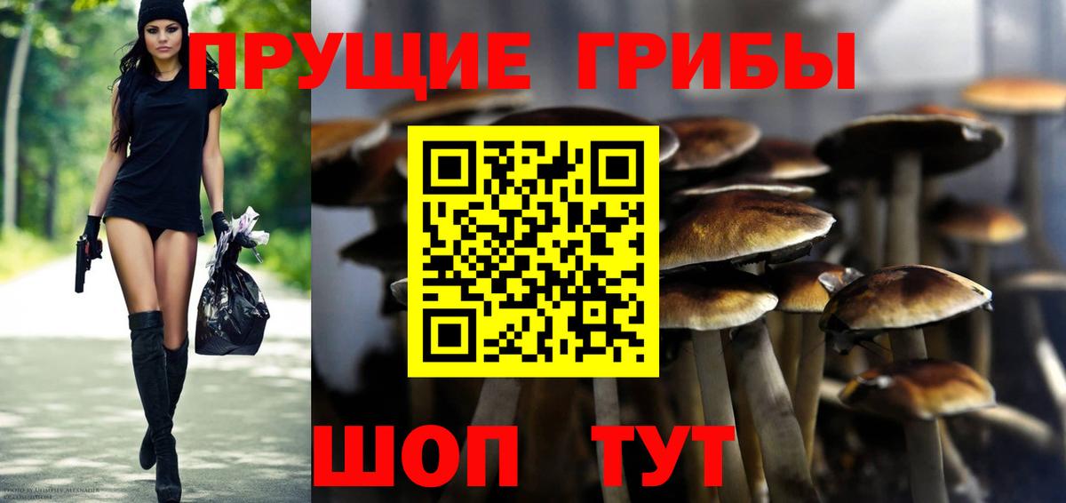 Чапаевск  Псилоцибиновые грибы Cubensis  Вход с VPN 
